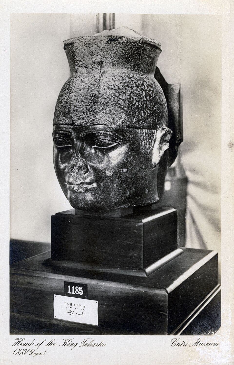 Black-and-white postcard photograph of a granite statue head with close-cropped hair, labeled on its museum stand as "Taharka"